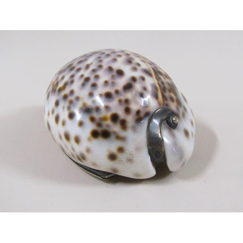 40 - A late 19c/early 20c conch shell snuff box with silver plated hinged lid, 8cm w.