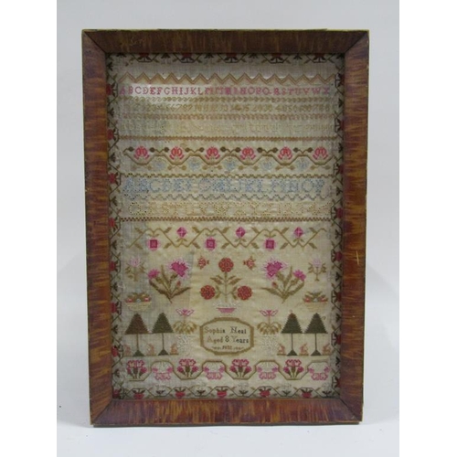 154 - A 19c alphabetical and numerical needlework sampler with flowers and trees, all within an outer bord... 