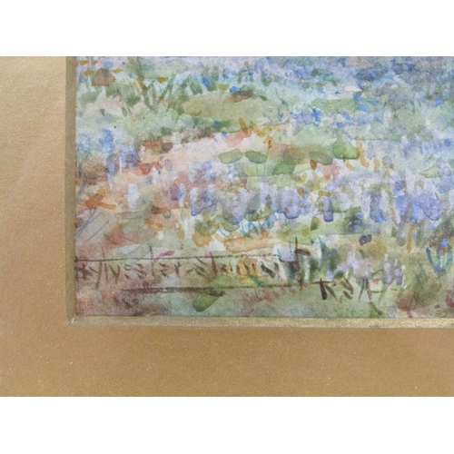 184 - Sylvester Stannard - Bluebell wood, signed watercolour, framed and glazed, 24cm x 16.5cm.