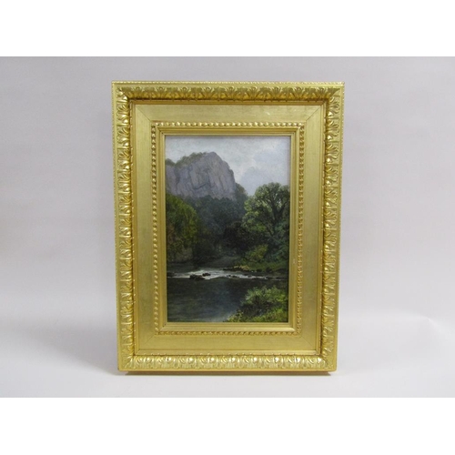 216 - E A Pettitt - A rocky river setting with cliff in the background, signed, oil on board, framed, 44cm... 