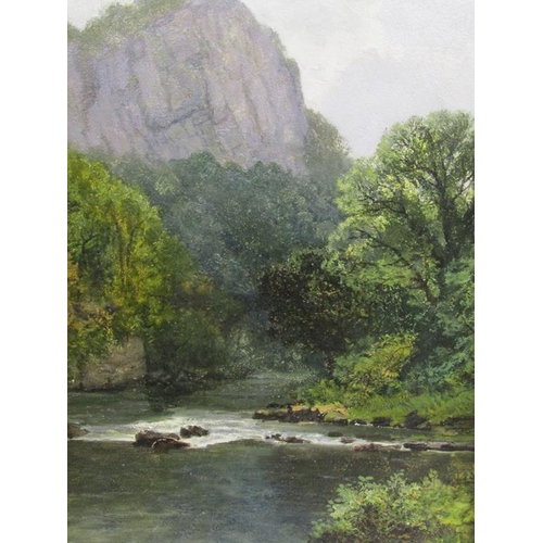 216 - E A Pettitt - A rocky river setting with cliff in the background, signed, oil on board, framed, 44cm... 