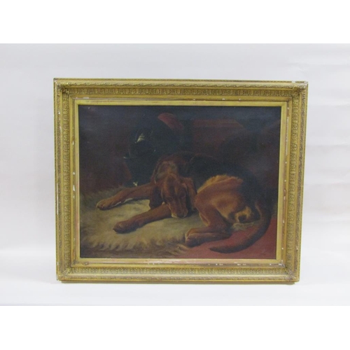 229 - B Matthews 1890 - A sleeping hound dog, signed oil on canvas, framed, 70cm x 90cm.