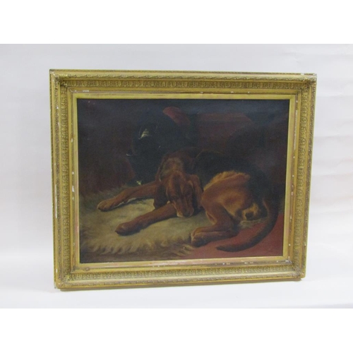 229 - B Matthews 1890 - A sleeping hound dog, signed oil on canvas, framed, 70cm x 90cm.