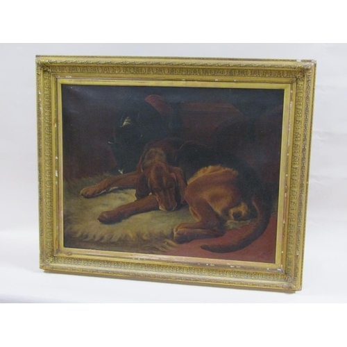 229 - B Matthews 1890 - A sleeping hound dog, signed oil on canvas, framed, 70cm x 90cm.