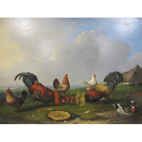 236 - Franz Van Severdonck 1809/1889 - Two gamecocks together with hens and a duck, signed oil on board, f... 