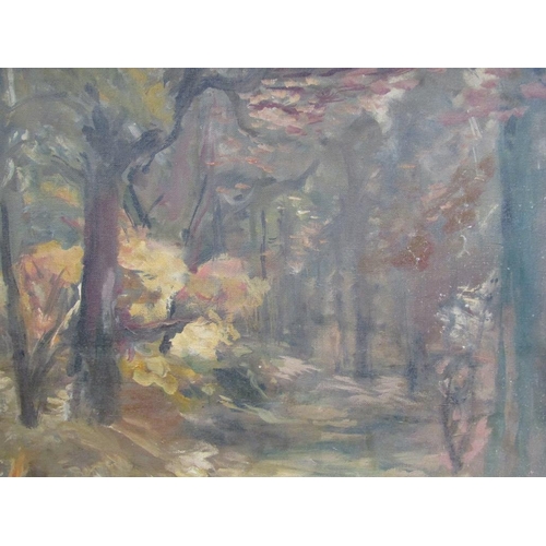 246 - Dunlop - Autumn woodland setting, signed oil on canvas, framed, 50cm x 60cm.