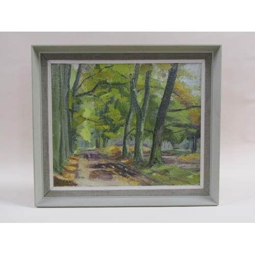 247 - Brian Bennett - A roadway through Ashridge woods, signed in mono RTNB 67, oil on canvas, framed, 49c... 