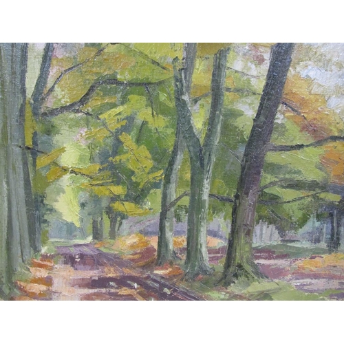 247 - Brian Bennett - A roadway through Ashridge woods, signed in mono RTNB 67, oil on canvas, framed, 49c... 