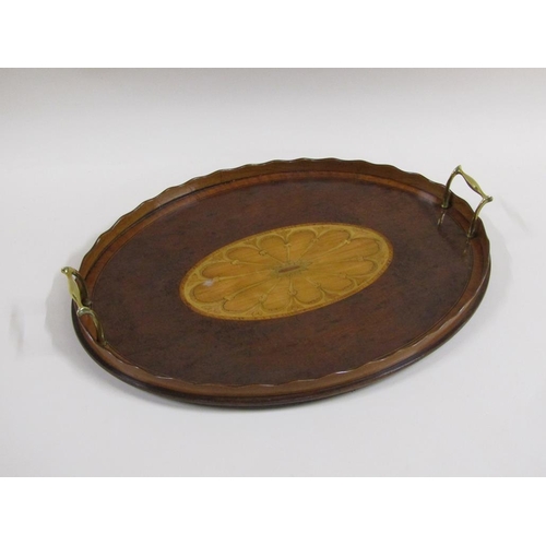 32 - A 19c tea tray of oval galleried form with a burr wood base, having a central satin wood oval motif ... 