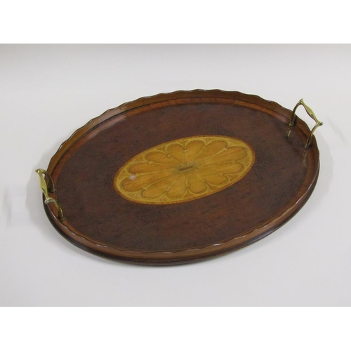 32 - A 19c tea tray of oval galleried form with a burr wood base, having a central satin wood oval motif ... 