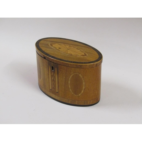 35 - Regency period satin wood tea caddy of oval form, crossbanded and line inlaid and decorated with ova... 