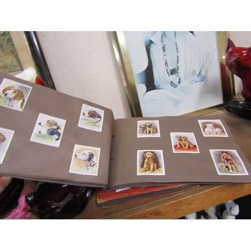 47 - CIGARETTE CARD ALBUMS