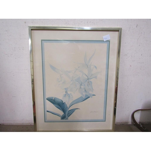 48 - FRAMED PRINT - SARA MOON