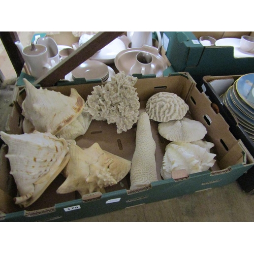 175 - BOX OF SHELLS AND CORAL