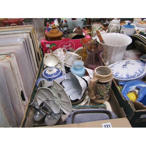 231 - BOX OF MIXED CERAMICS AND GLASS