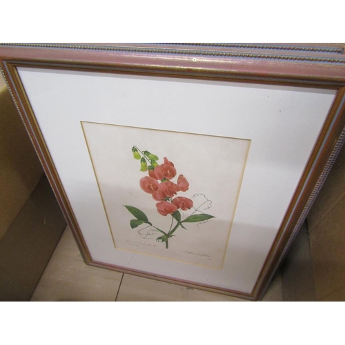 386 - FRAMED BOTANICAL ENGRAVINGS