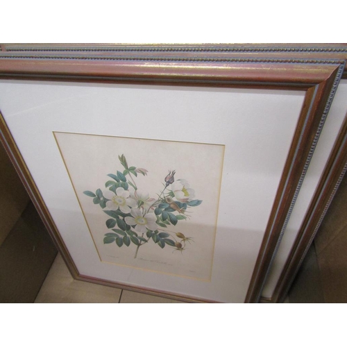 386 - FRAMED BOTANICAL ENGRAVINGS