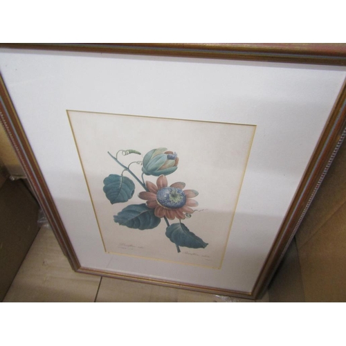 386 - FRAMED BOTANICAL ENGRAVINGS