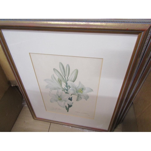 386 - FRAMED BOTANICAL ENGRAVINGS