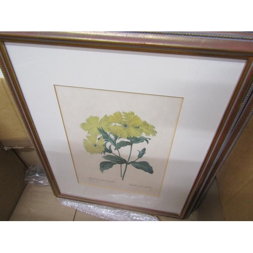 386 - FRAMED BOTANICAL ENGRAVINGS