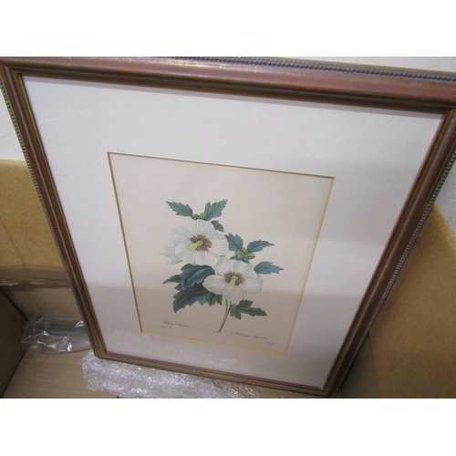 386 - FRAMED BOTANICAL ENGRAVINGS