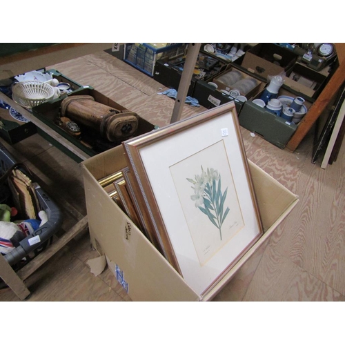 254 - SERIES OF FRAMED BOTANICAL PRINTS