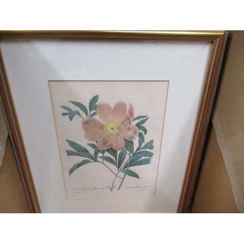 254 - SERIES OF FRAMED BOTANICAL PRINTS