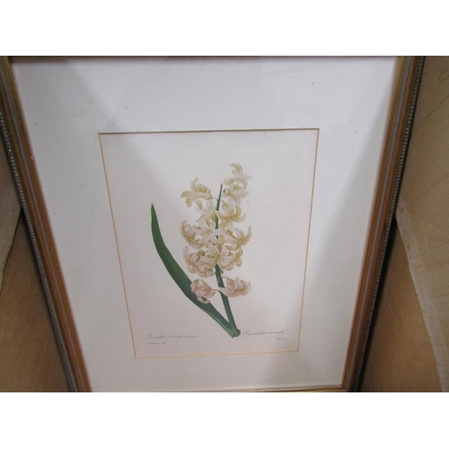 254 - SERIES OF FRAMED BOTANICAL PRINTS