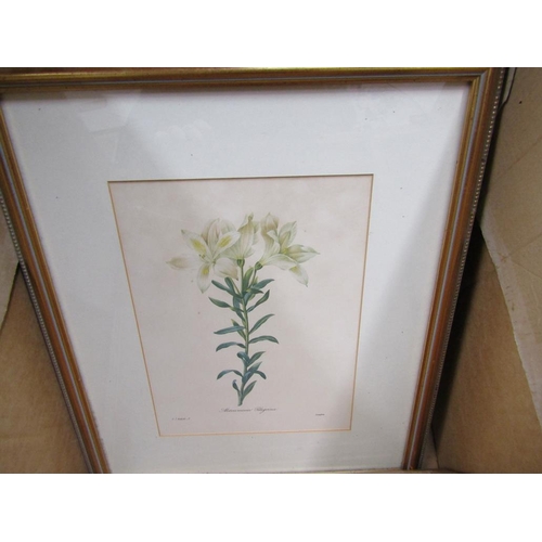 254 - SERIES OF FRAMED BOTANICAL PRINTS