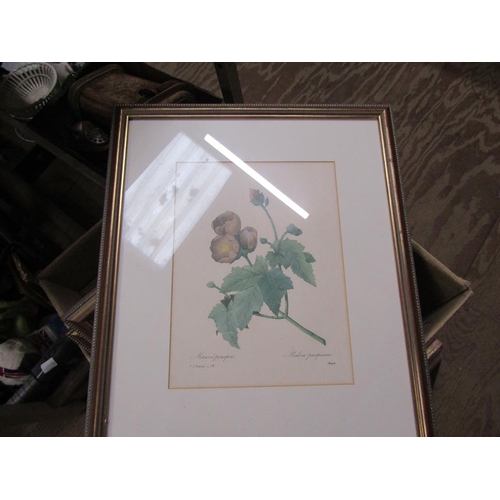 254 - SERIES OF FRAMED BOTANICAL PRINTS