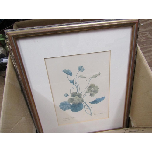 254 - SERIES OF FRAMED BOTANICAL PRINTS