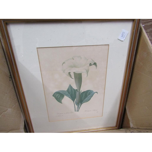 254 - SERIES OF FRAMED BOTANICAL PRINTS