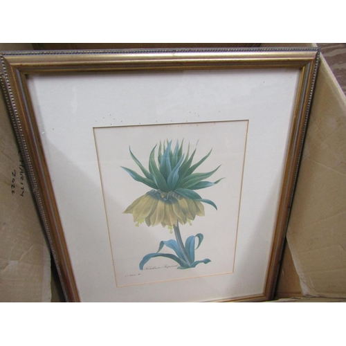 254 - SERIES OF FRAMED BOTANICAL PRINTS