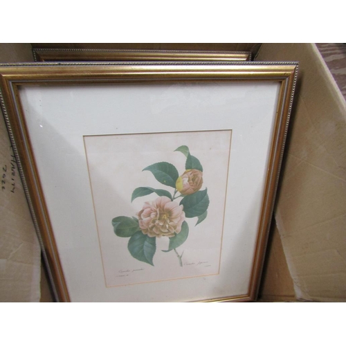 254 - SERIES OF FRAMED BOTANICAL PRINTS