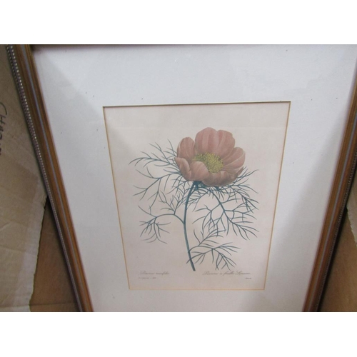 254 - SERIES OF FRAMED BOTANICAL PRINTS