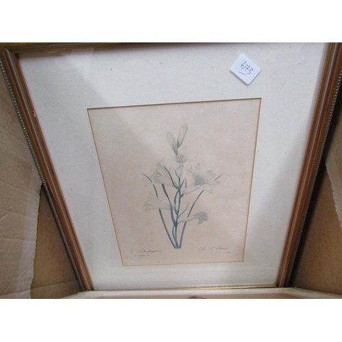 254 - SERIES OF FRAMED BOTANICAL PRINTS