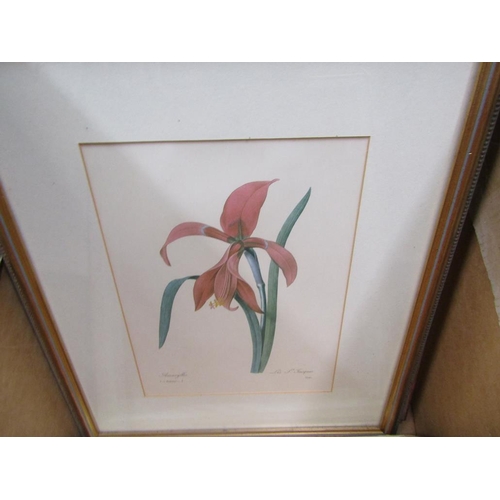 254 - SERIES OF FRAMED BOTANICAL PRINTS