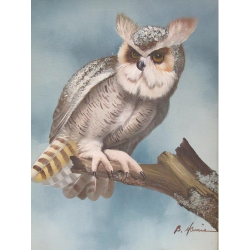 1118 - B HARRIS - TWO PAINTINGS OF OWLS, SIGNED OIL ON CANVAS, EACH FRAMED 39CM X 29CM