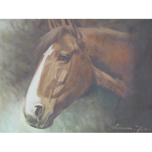 1130 - LEONARDO F.C - A HORSES HEAD, SIGNED OIL ON CANVAS, FRAMED, 40CM X 50CM