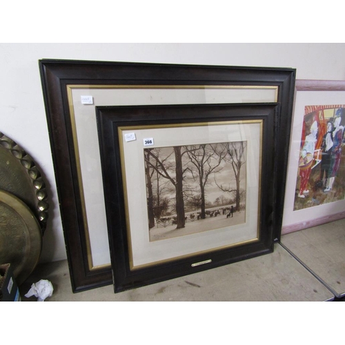 366 - COLLECTION OF FRAMED PHOTOGRAPHIC PRINTS