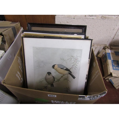 437 - SERIES OF FRAMED COLOURED PRINTS TO INC. BIRDS