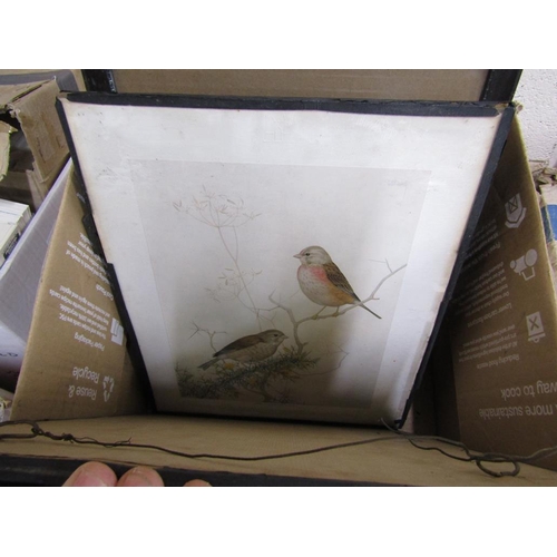 437 - SERIES OF FRAMED COLOURED PRINTS TO INC. BIRDS