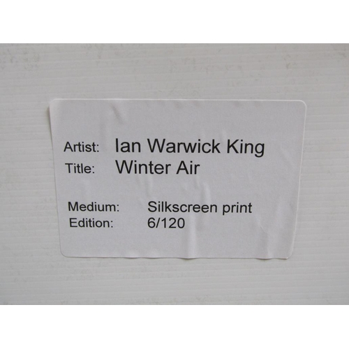 1126 - LIMITED EDITION PRINT - WINTER AIR BY JAN KING, F/G, 6/120