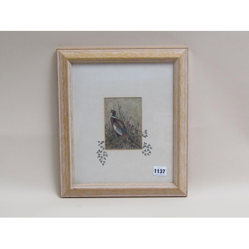 1137 - STELLA READING - A PHEASANT, COLOURED PRINT, F/G, 12CM X 8CM