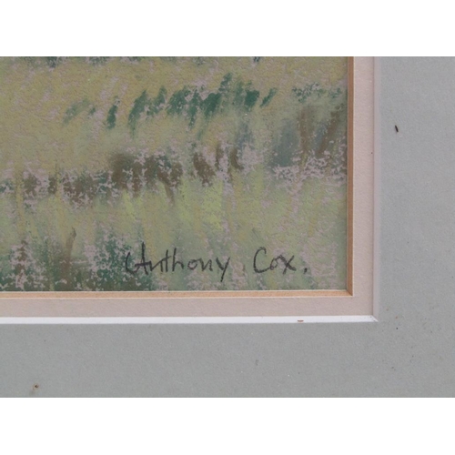 1152 - ANTHONY COX - A RUINED CHURCH IN CORNFIELD, SIGNED PASTEL, F/G 36CM X 61CM; CHRISTOPHER PAYNE - MOON... 