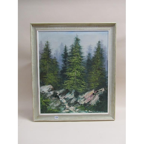 1159 - SIGNED INDISTINCTLY - EUROPEAN FOREST SCENE WITH ROCKY OUTCROPS, OIL ON CANVAS, FRAMED, 75CM X 62CM