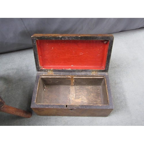 1225 - 19C MILKING STOOL; BURR WALNUT CADDY BOX, 23CM W