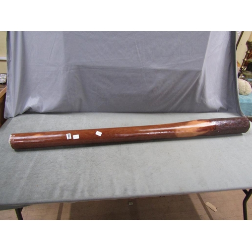 1292 - DIDGERIDOO