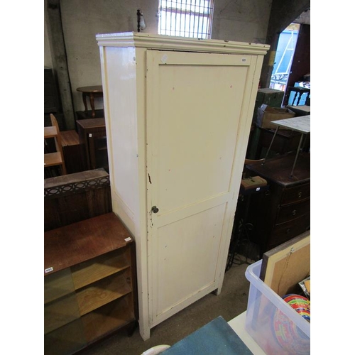 620 - PAINTED CUPBOARD - 74 x 181 x 42.5 CMS