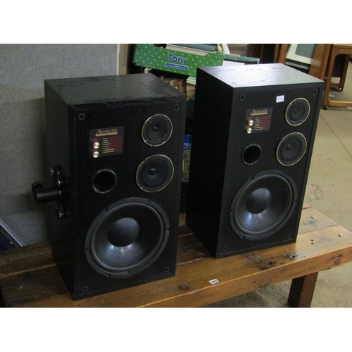 910 - TWO ACOUSTIC SPEAKERS